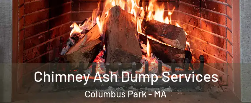 Chimney Ash Dump Services Columbus Park - MA