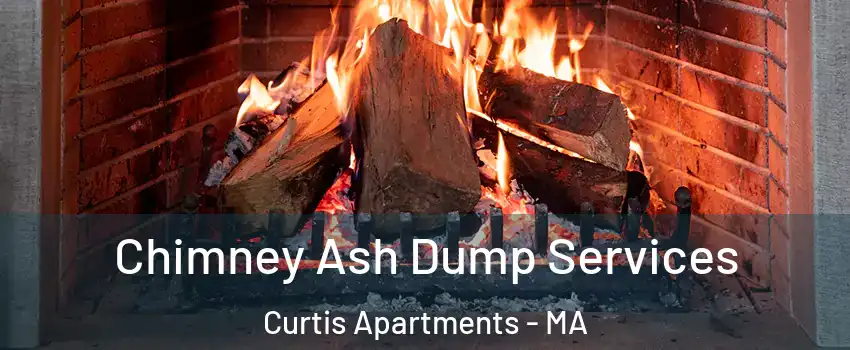 Chimney Ash Dump Services Curtis Apartments - MA