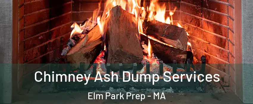 Chimney Ash Dump Services Elm Park Prep - MA