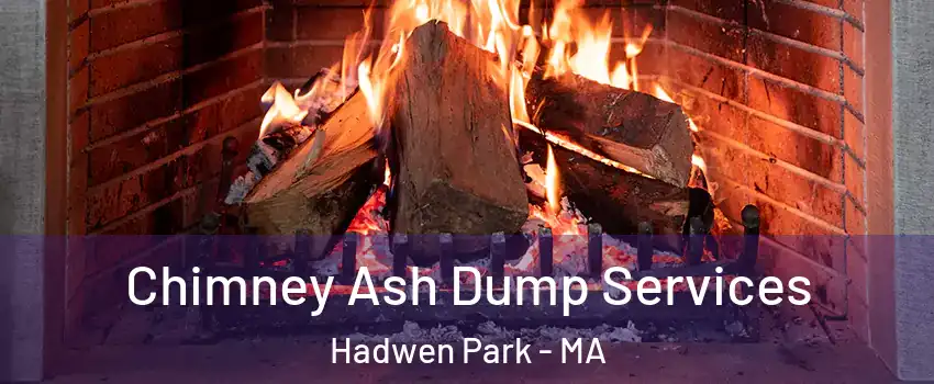 Chimney Ash Dump Services Hadwen Park - MA