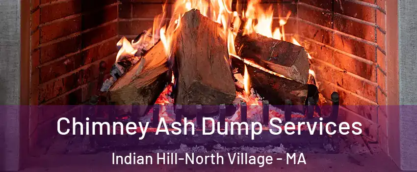 Chimney Ash Dump Services Indian Hill-North Village - MA