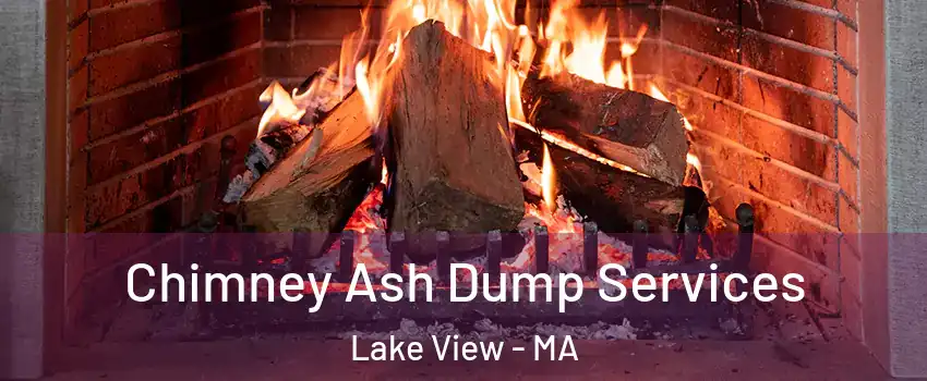 Chimney Ash Dump Services Lake View - MA