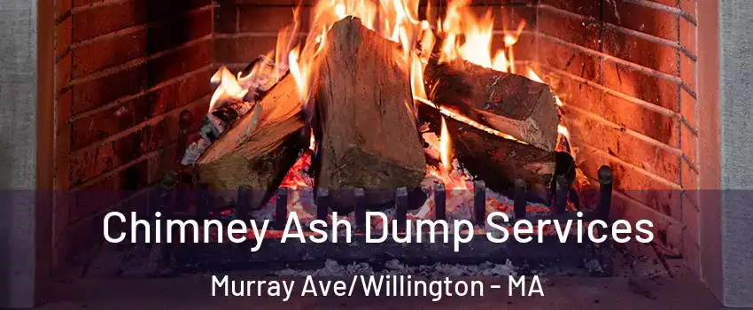 Chimney Ash Dump Services Murray Ave/Willington - MA