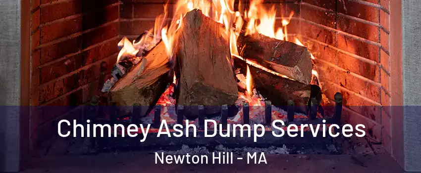 Chimney Ash Dump Services Newton Hill - MA