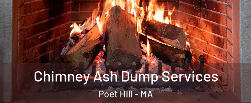 Chimney Ash Dump Services Poet Hill - MA