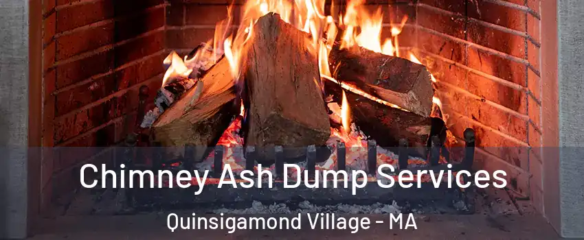 Chimney Ash Dump Services Quinsigamond Village - MA