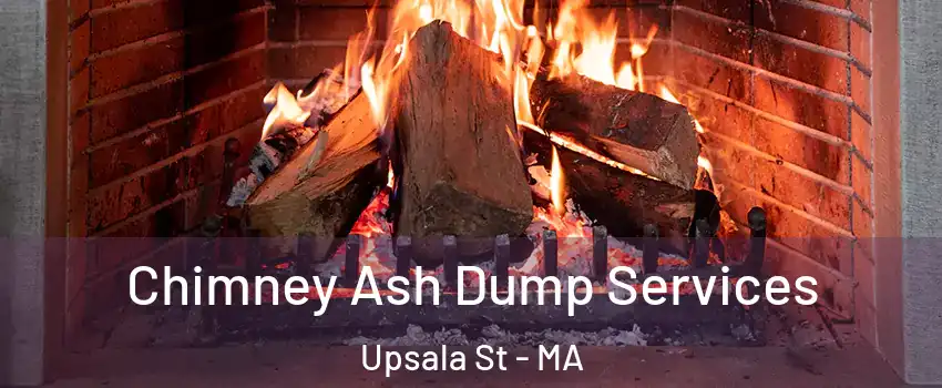 Chimney Ash Dump Services Upsala St - MA