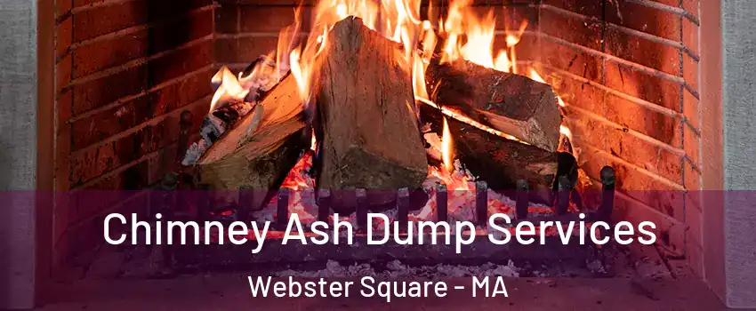 Chimney Ash Dump Services Webster Square - MA