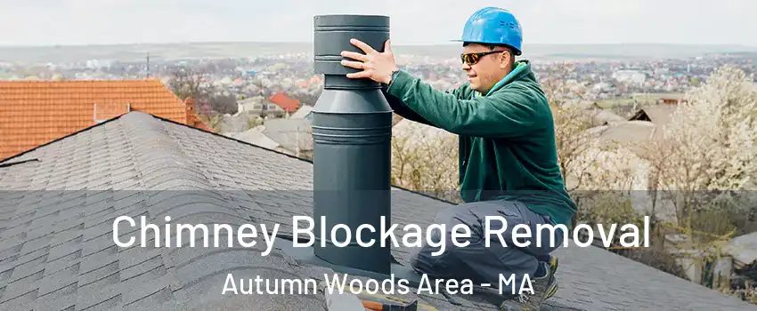 Chimney Blockage Removal Autumn Woods Area - MA