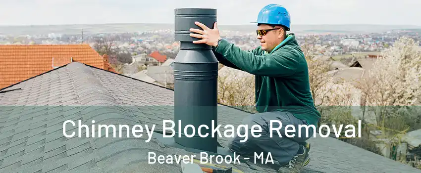 Chimney Blockage Removal Beaver Brook - MA