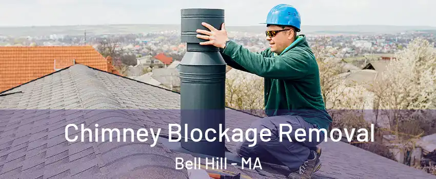 Chimney Blockage Removal Bell Hill - MA