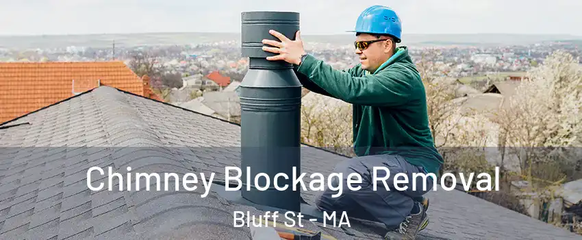 Chimney Blockage Removal Bluff St - MA