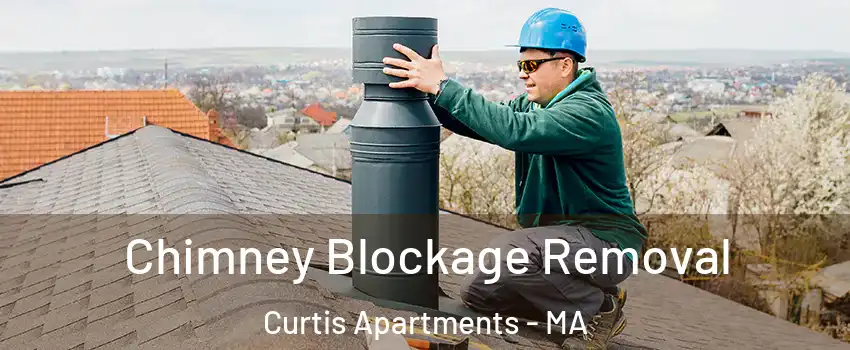 Chimney Blockage Removal Curtis Apartments - MA