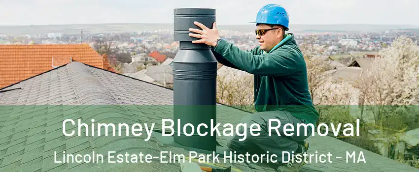 Chimney Blockage Removal Lincoln Estate-Elm Park Historic District - MA