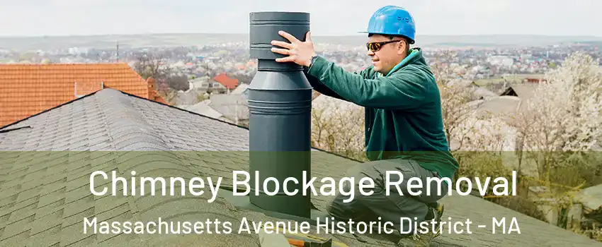 Chimney Blockage Removal Massachusetts Avenue Historic District - MA