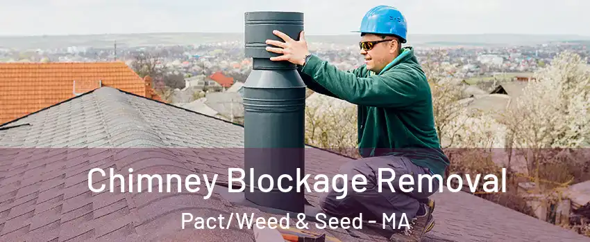 Chimney Blockage Removal Pact/Weed & Seed - MA