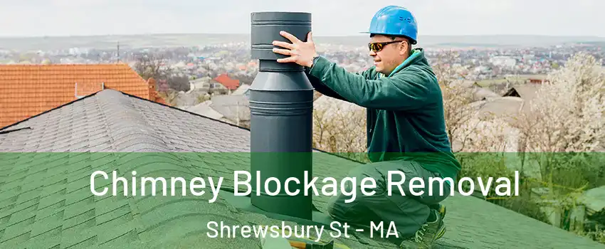 Chimney Blockage Removal Shrewsbury St - MA