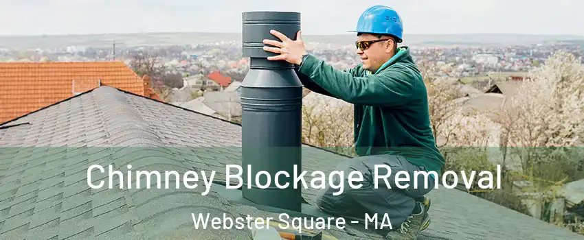 Chimney Blockage Removal Webster Square - MA