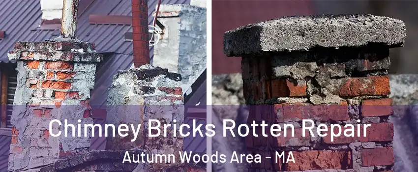 Chimney Bricks Rotten Repair Autumn Woods Area - MA