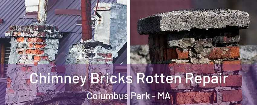 Chimney Bricks Rotten Repair Columbus Park - MA