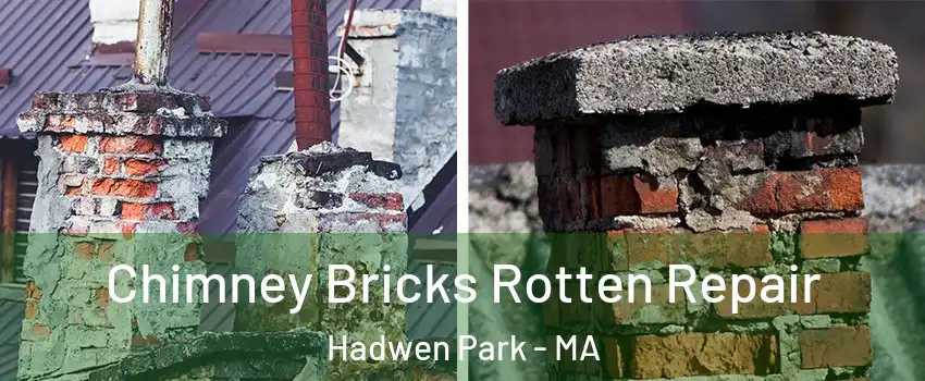 Chimney Bricks Rotten Repair Hadwen Park - MA