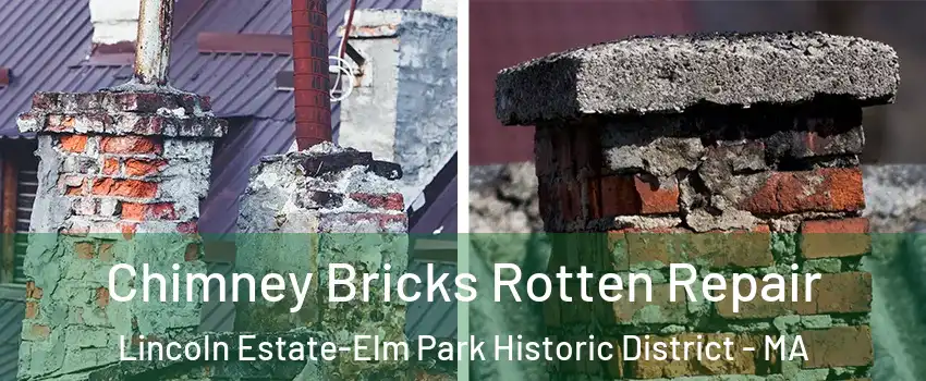 Chimney Bricks Rotten Repair Lincoln Estate-Elm Park Historic District - MA