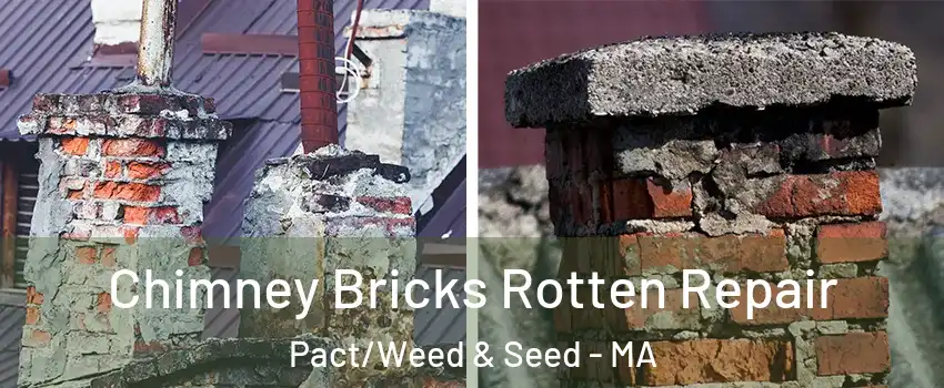 Chimney Bricks Rotten Repair Pact/Weed & Seed - MA