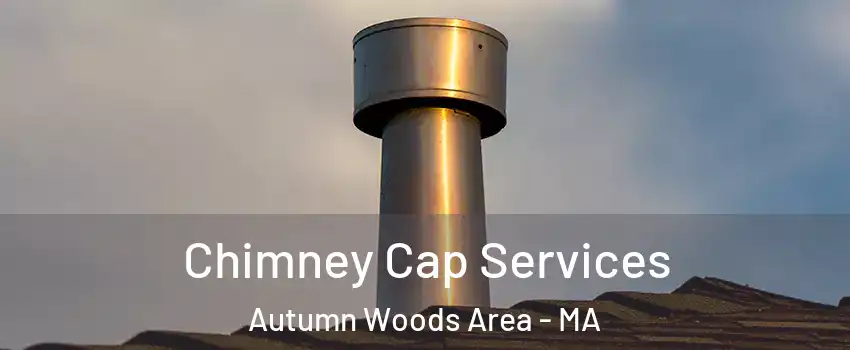 Chimney Cap Services Autumn Woods Area - MA