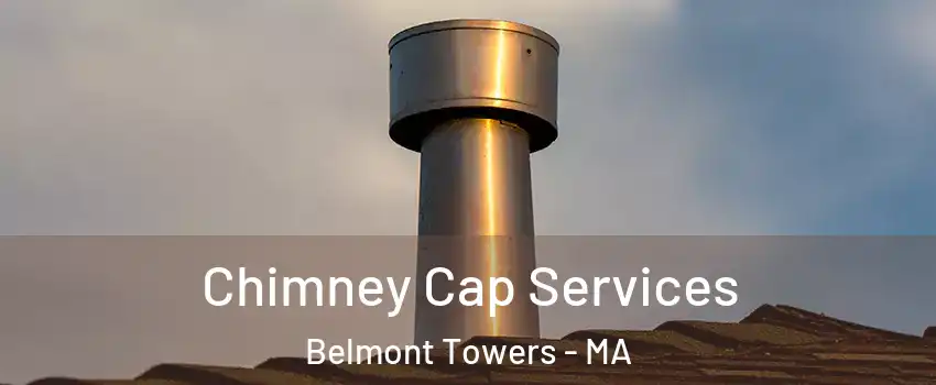 Chimney Cap Services Belmont Towers - MA