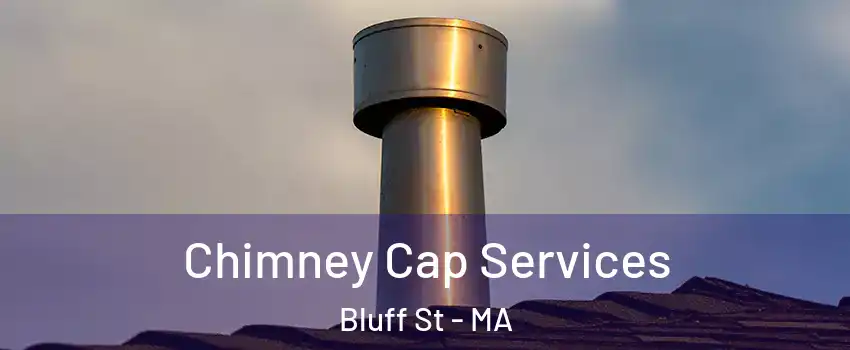 Chimney Cap Services Bluff St - MA