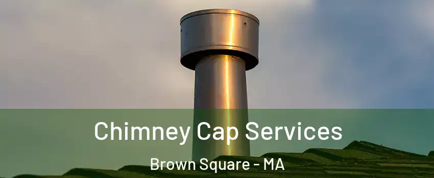 Chimney Cap Services Brown Square - MA