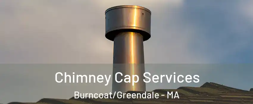 Chimney Cap Services Burncoat/Greendale - MA