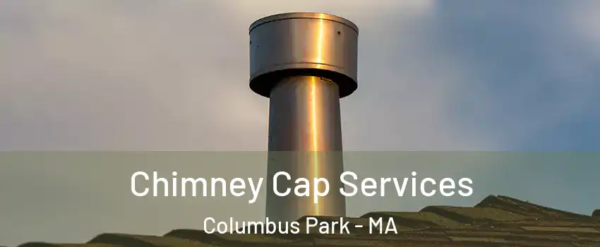 Chimney Cap Services Columbus Park - MA