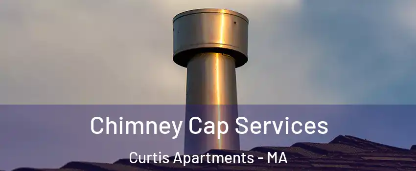 Chimney Cap Services Curtis Apartments - MA