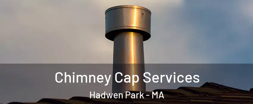 Chimney Cap Services Hadwen Park - MA