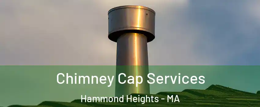 Chimney Cap Services Hammond Heights - MA