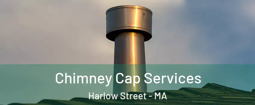 Chimney Cap Services Harlow Street - MA