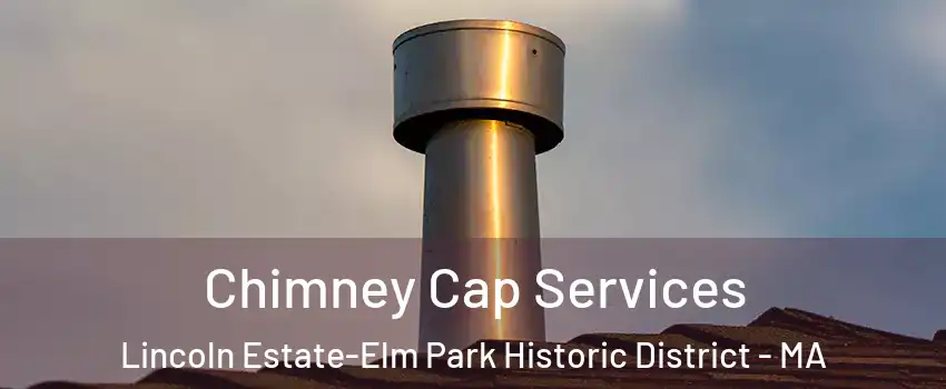 Chimney Cap Services Lincoln Estate-Elm Park Historic District - MA