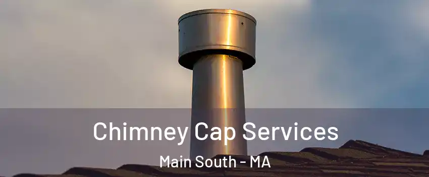 Chimney Cap Services Main South - MA