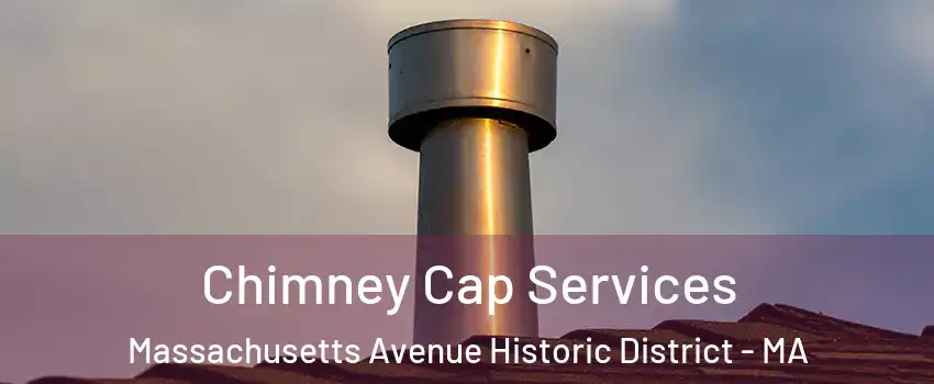 Chimney Cap Services Massachusetts Avenue Historic District - MA