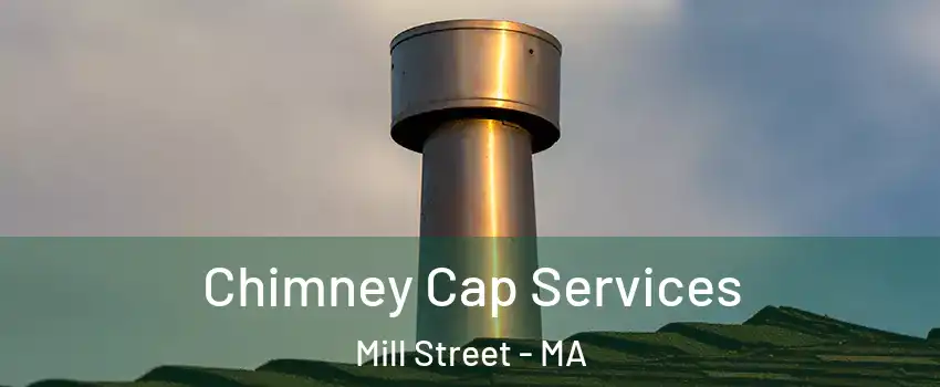 Chimney Cap Services Mill Street - MA