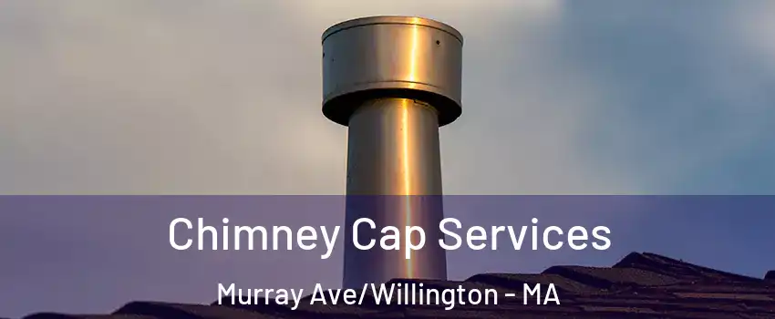 Chimney Cap Services Murray Ave/Willington - MA