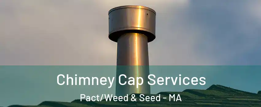 Chimney Cap Services Pact/Weed & Seed - MA