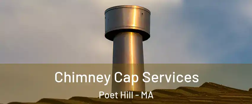 Chimney Cap Services Poet Hill - MA