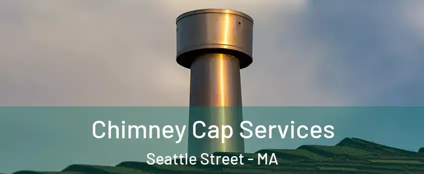 Chimney Cap Services Seattle Street - MA