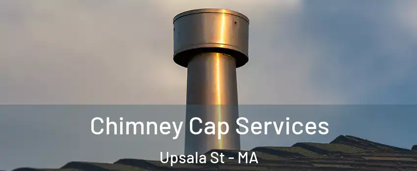 Chimney Cap Services Upsala St - MA