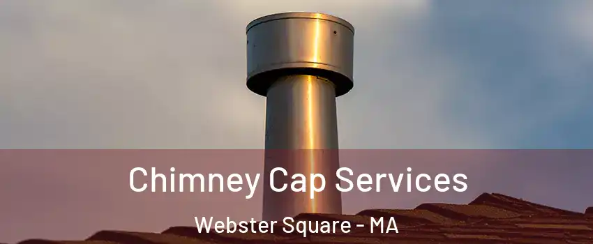 Chimney Cap Services Webster Square - MA