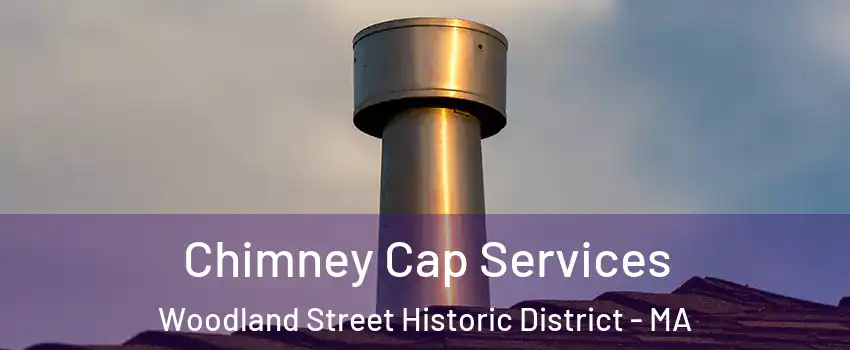 Chimney Cap Services Woodland Street Historic District - MA