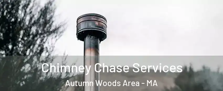 Chimney Chase Services Autumn Woods Area - MA