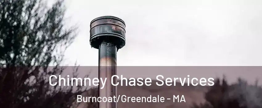 Chimney Chase Services Burncoat/Greendale - MA